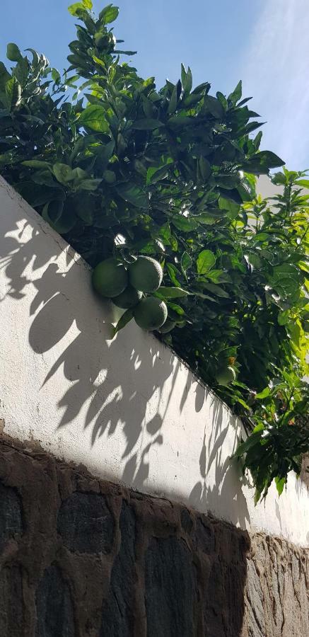 Willa Lovely 2 Bedroom House With Private Garden *
